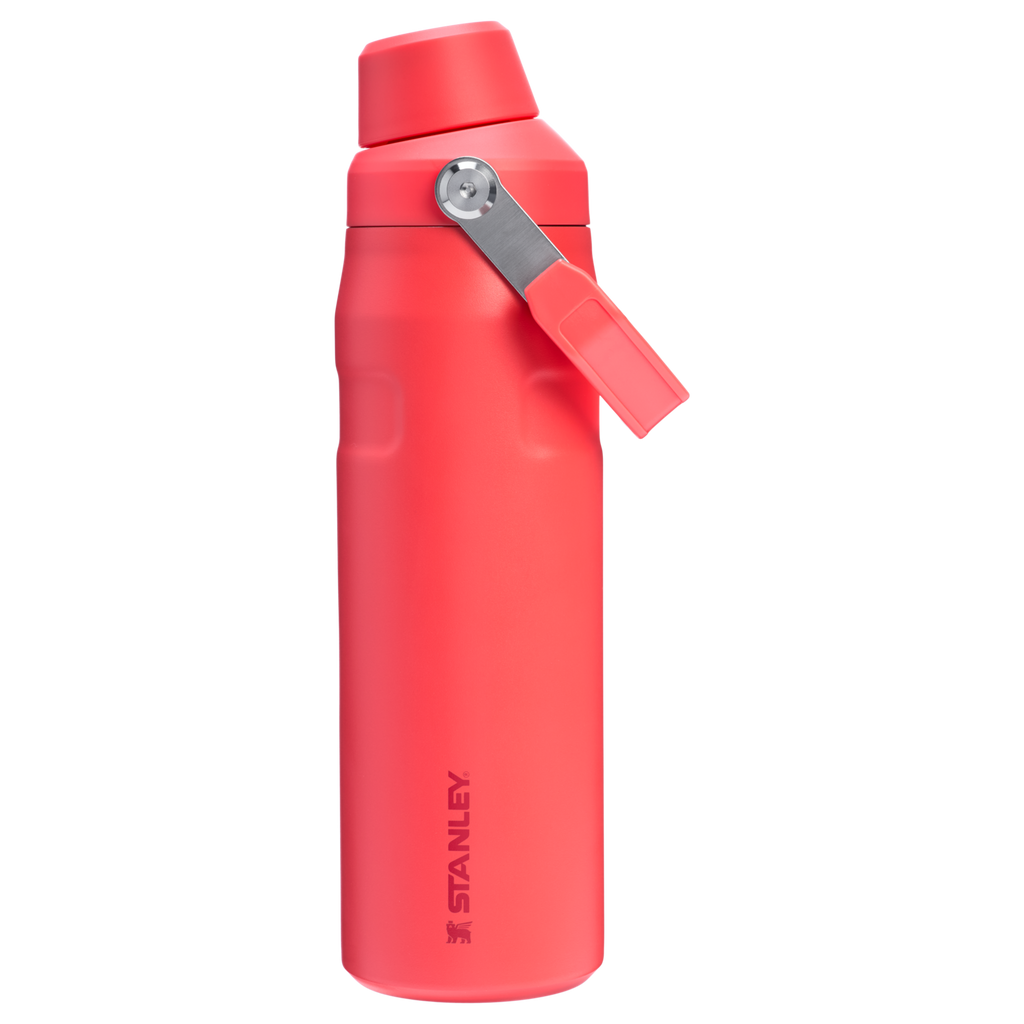 IceFlow™ Bottle with Fast Flow Lid | 24 OZ - Create